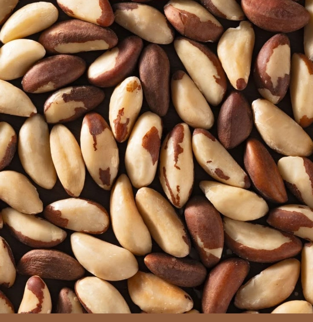 Brazil Nuts: Nature’s Premium Superfood