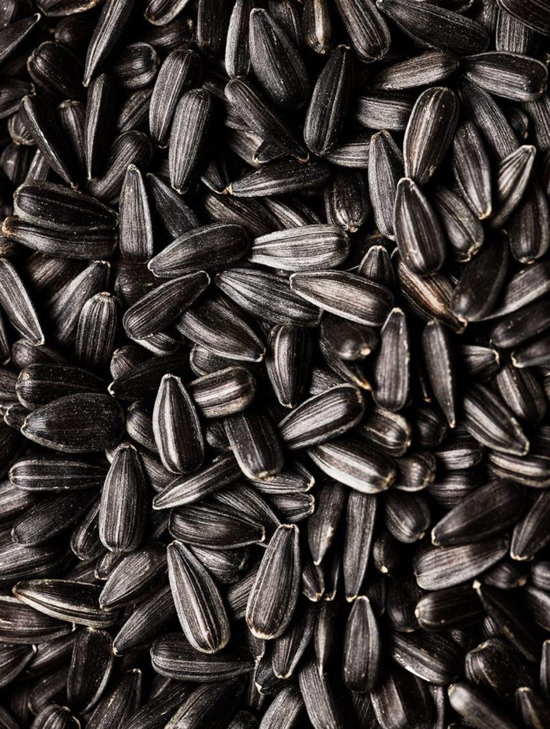 Sunflower Seeds