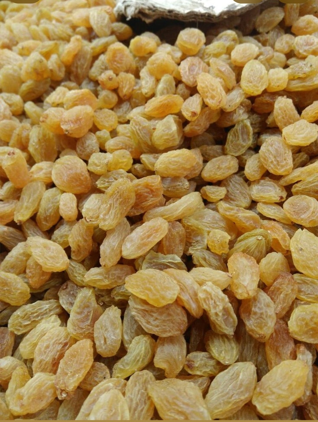 Sun-Dried Green Raisins