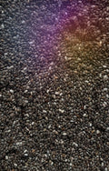 Chia Seeds
