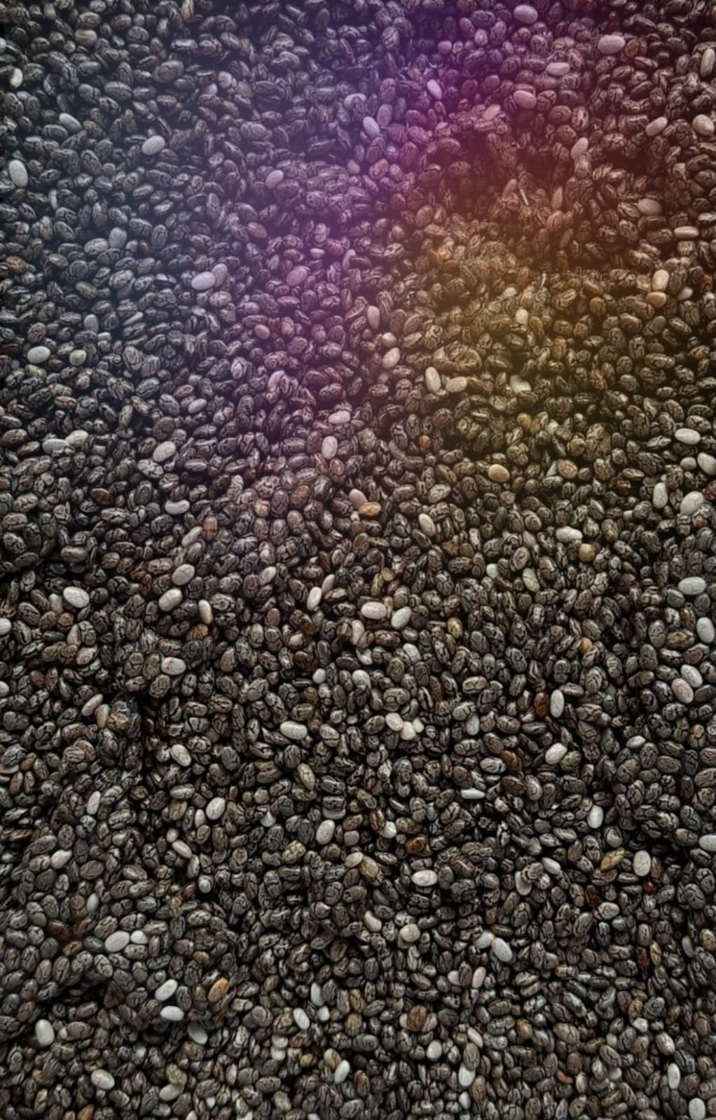 Chia Seeds