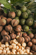 Macadamia Nuts (Raw Kernel)