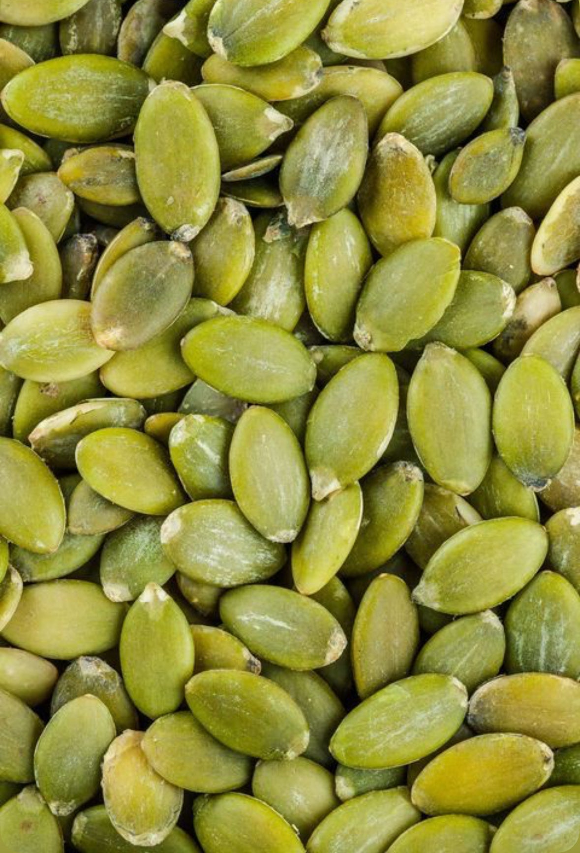 Pumpkin Seeds