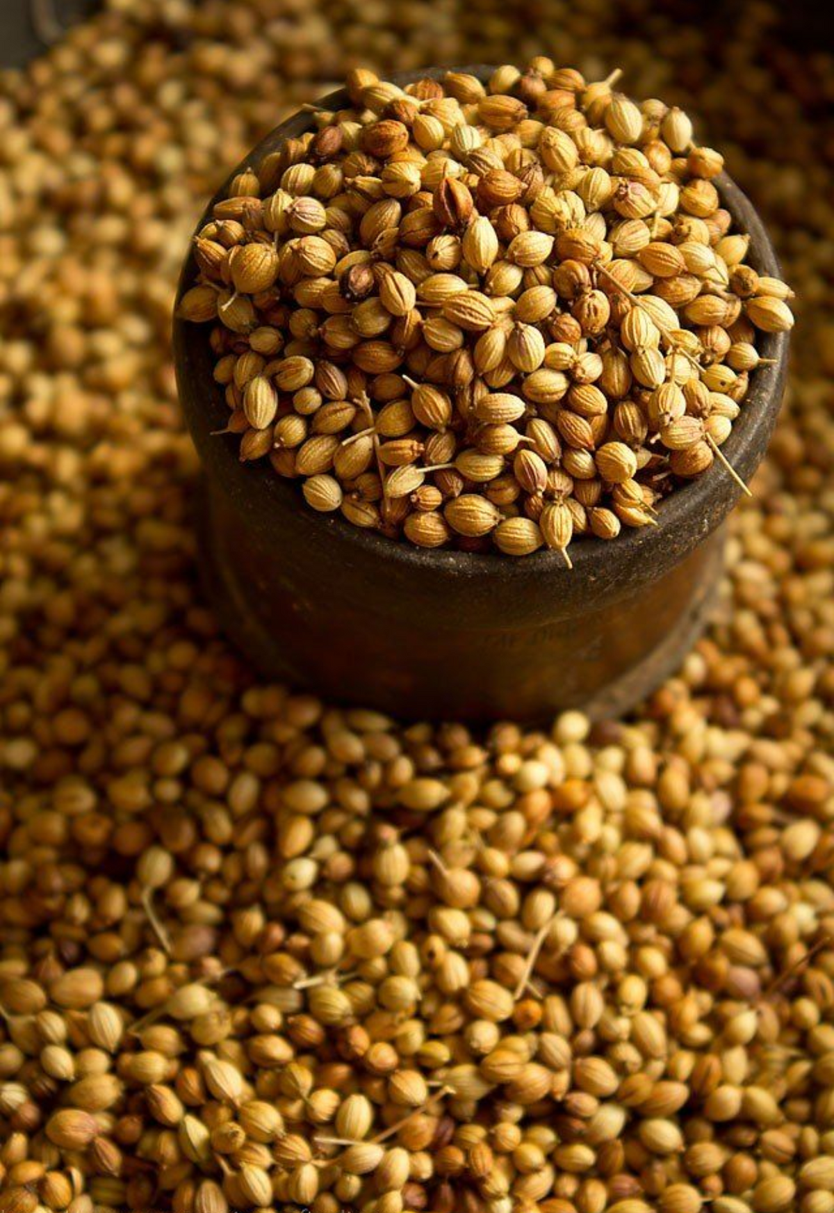 Coriander Seeds (Dhania)