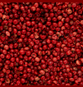 Madagascar Pink Peppercorns