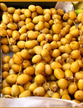 Barhi dates