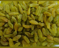 Green Raisins (Long & Short)