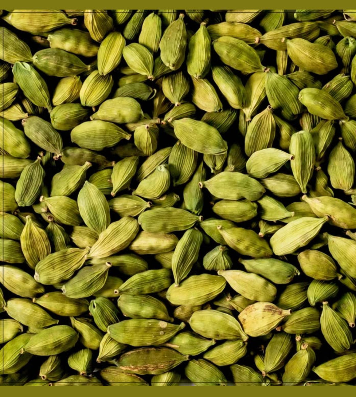 Green Cardamom (GI-Tagged)
