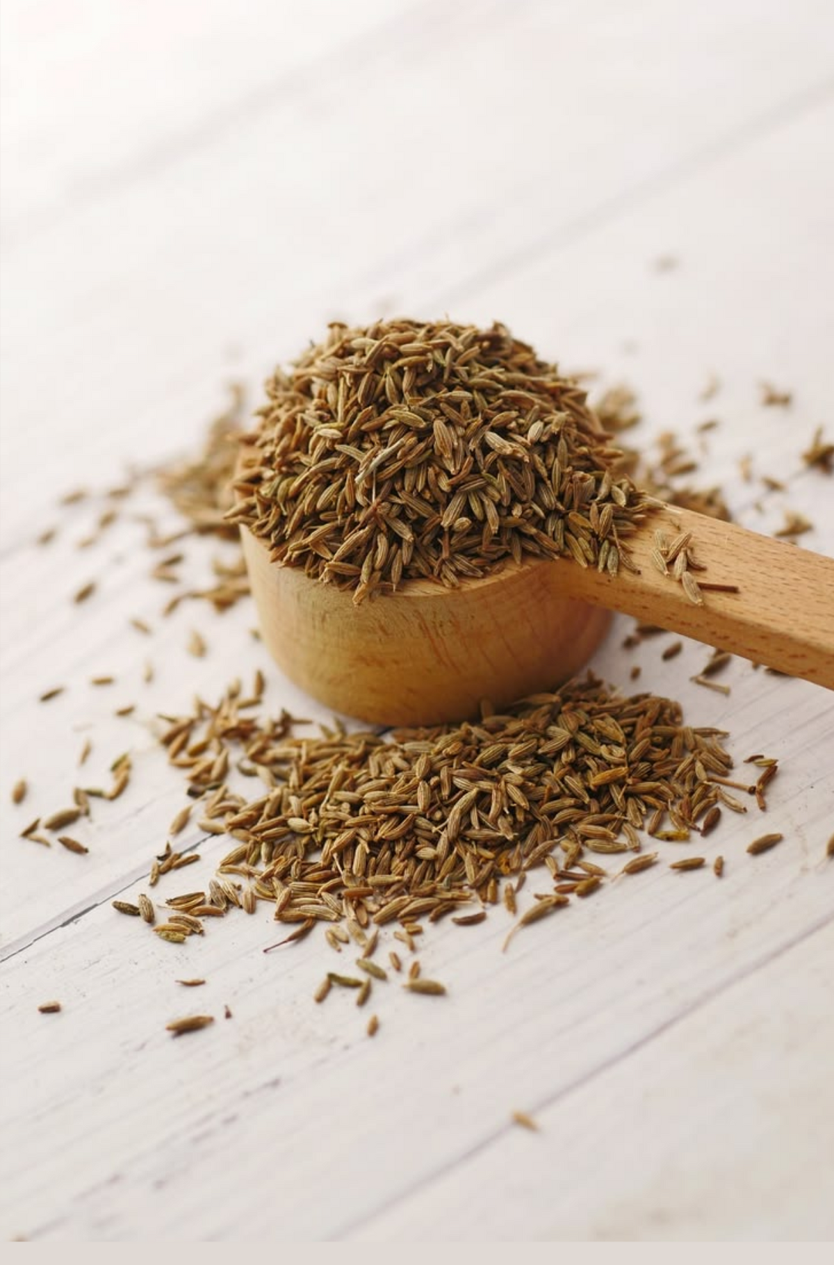 Cumin Seeds (Jeera)