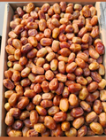 Zahedi dates